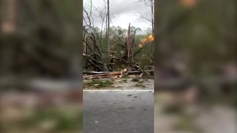 Video shows toppled trees after tornado in Georgia
