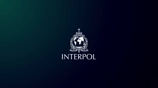 What is an INTERPOL Red Notice?