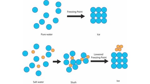 Is Every Reaction Actually Reversible_