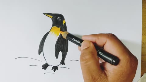 Easy Penguin drawing from-J. J দিয়ে সহজে পেইঙ্গুন আকাঁ শিখুন।