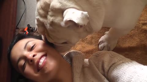 MY BULLDOG'S KISSING ATTACK|Girls kissing playing wuth dog 23