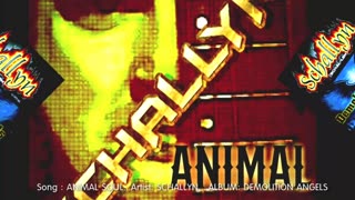 ANIMAL SOUL