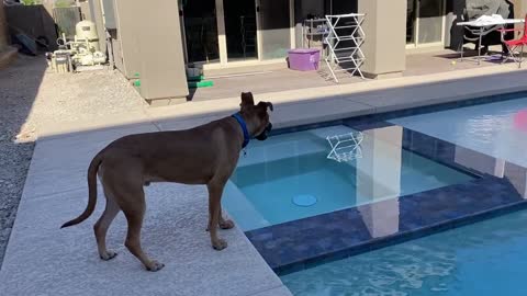 Hutch walking on the tile