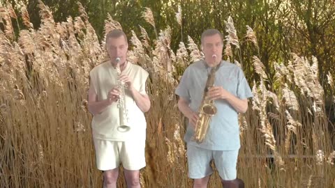 Dust in the Wind - Wayne Sharer on Alto Saxophone and Soprano Saxophone