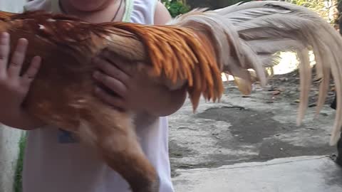 Cute baby boy with his new pet chicken 😍😂