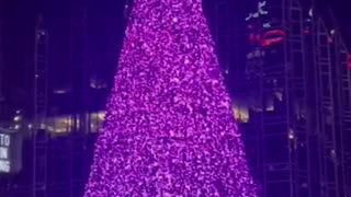 STEEL- CITY CHRISTMAS! — Pittsburgh's Christmas Tree LIGHTS UP at PPG Place