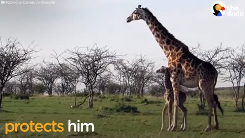 Moms Watch Their Babies Grow Up