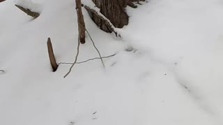 Frozen water in Calvert