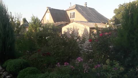 Neighbor's house and our garden