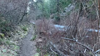 The Itinerary – Metolius River – Central Oregon – 4K