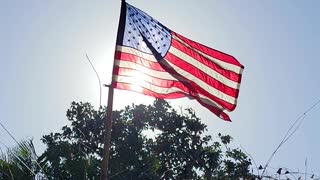 American Flag waving in Sunshine