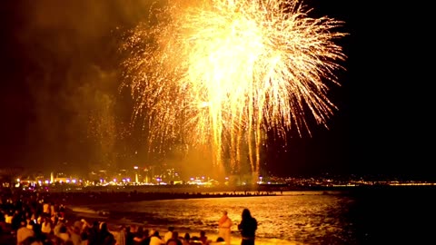 Fireworks illuminating the beach sky