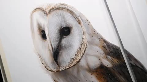 OIL PAINTING Time-Lapse | Barn Owl Portrait | Owl Portrait | Creative Fine Art