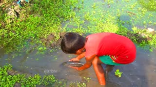 amazing hand fishing - smart boy catching fish by hand - traditional hand fishing video