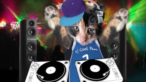 DJ Cool PAWS