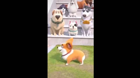 Cat baby funny cartoon and dog video