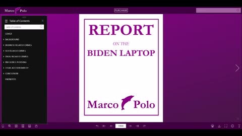 Report on the Biden Laptop
