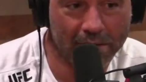 Joe Rogan Arnold Schwarzenegger gets kicked