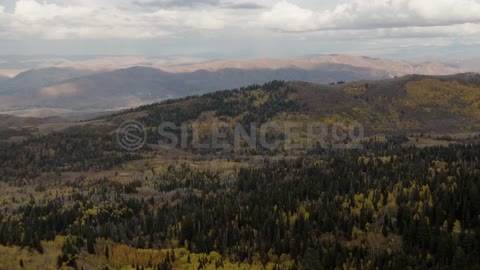 SilencerCo Soundscapes: Hybrid 46M