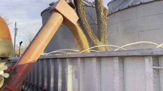 Loading Soybeans in semi truck with Killbros Grain Cart
