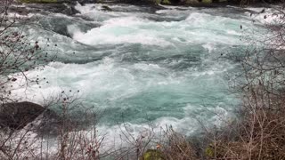 Look at the Color of Metolius River – Central Oregon