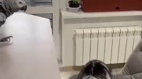 Funny animals videos #funnyvideo #funnycats #funnymemes #funnymoment