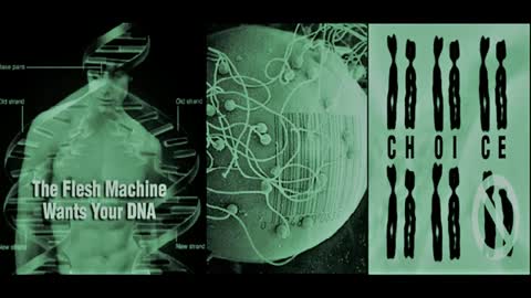 H.O.D. #25 - Flesh Machine: Post-Humans/ Second Wave Eugenics/ Cyborg Babies