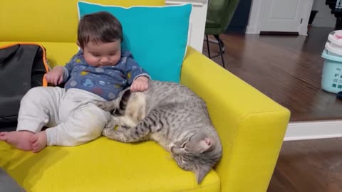 The cat took the thing out of the child's mouth
