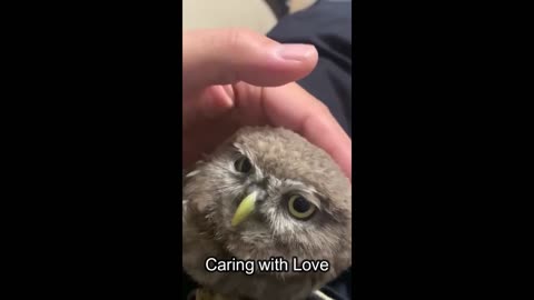 Caring with Love