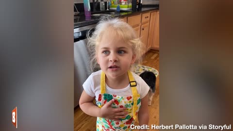 Adorable Patriot Pledges Allegiance to the "United Steaks of America"