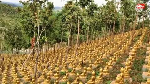 84000 Statues of the Buddha in Cambodia.