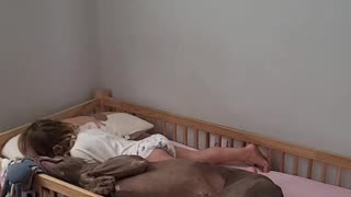 Kid Takes a Nap With Dog