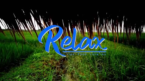 Khmer Flute for Relaxation & Sleep | Sleep Music