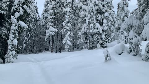 This Junction is Very Easy to Miss – Central Oregon – Vista Butte Sno-Park – 4K