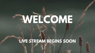 Beacon of Hope Live Stream