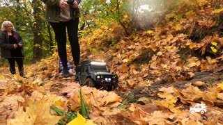 ⚠️RC CAR EXPEDITION⚠️ KRCSKY LES #9 - TRX4, DEFENDER_S, roots&leafs / RC Driver Studio / #shorts