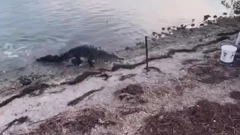 Fishing gone wrong