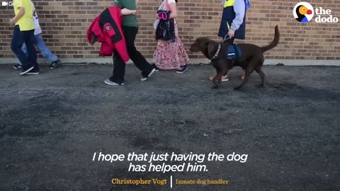 Autistic Boy Gets Special Dog Who Changes His Life | The Dodo