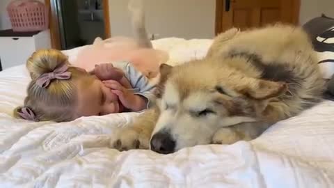 Adorable Baby Girl Tries To Convince Sulking Dog It's BATH Time! (Cutest Ever!!)