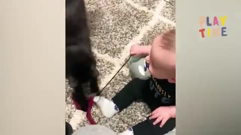 Best video cute babies and pets- funny baby and pet