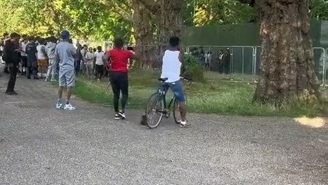 Wireless festival becomes truly wireless with some african migrants kicking the fence down