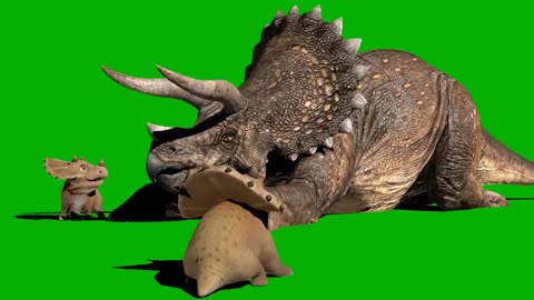 green screen keying saber tooth rest animal animation display