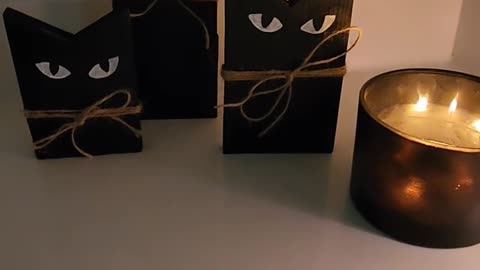 Spooky DIY Cat Halloween Decor