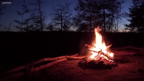 2/6 Relaxing Music, Stress Relief and Calming With Campfire