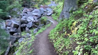 Oregon – Mount Hood – Forest Hiking