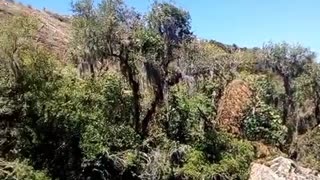 Água gelada na cascata