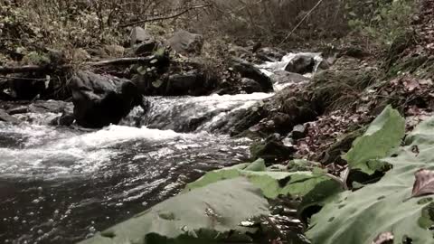 Running Scenery Italy 2016 - Trailer 6 Sardegna - Icarus Sky Sport