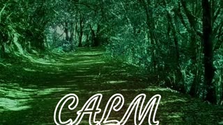 Calm and Relaxing Music-Walking Trail helps you destress #shorts