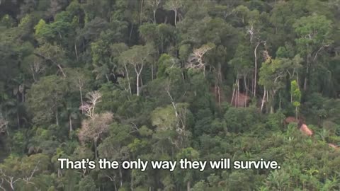 Uncontacted Amazon Tribe First ever aerial footage