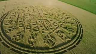Intricate, Mystery Crop Circle Appears - Is it A Company Logo?